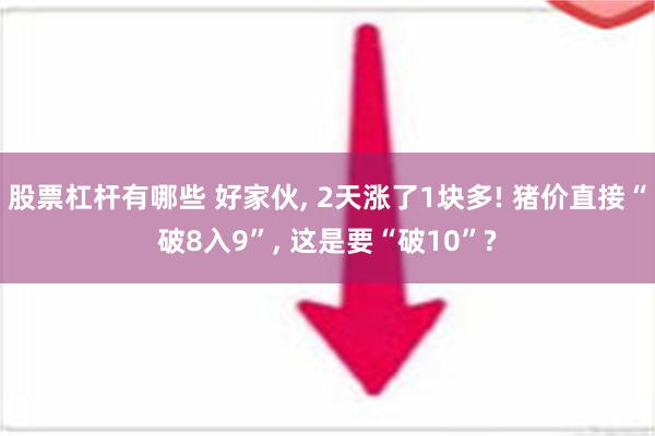 股票杠杆有哪些 好家伙, 2天涨了1块多! 猪价直接“破8入9”, 这是要“破10”?