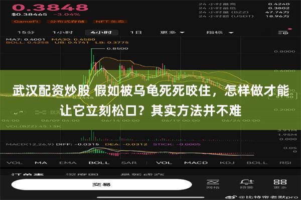 武汉配资炒股 假如被乌龟死死咬住，怎样做才能让它立刻松口？其实方法并不难