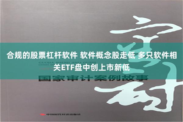 合规的股票杠杆软件 软件概念股走低 多只软件相关ETF盘中创上市新低