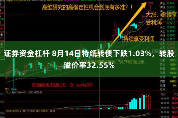 证券资金杠杆 8月14日特纸转债下跌1.03%，转股溢价率32.55%