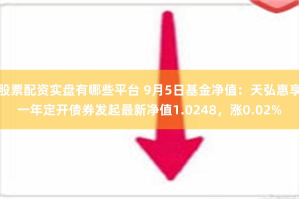 股票配资实盘有哪些平台 9月5日基金净值：天弘惠享一年定开债券发起最新净值1.0248，涨0.02%