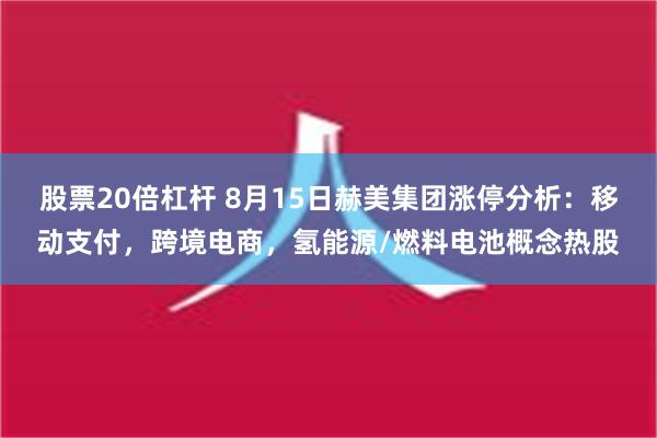 股票20倍杠杆 8月15日赫美集团涨停分析：移动支付，跨境电商，氢能源/燃料电池概念热股