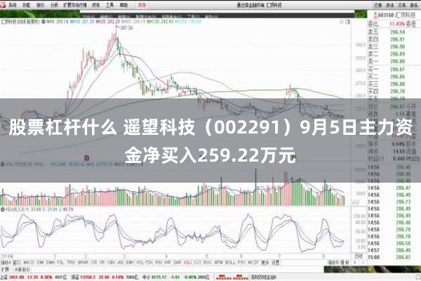 股票杠杆什么 遥望科技（002291）9月5日主力资金净买入259.22万元